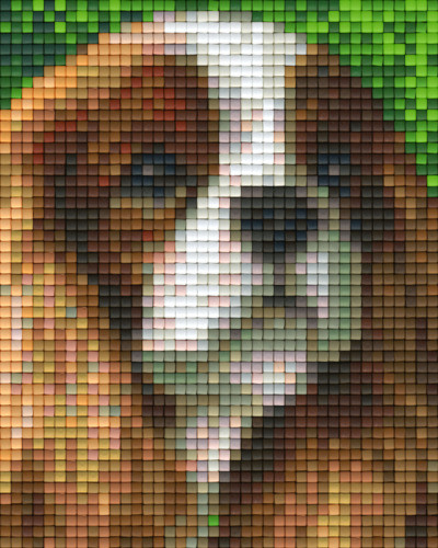 801319 Pixelhobby Klassik Set Hund 7