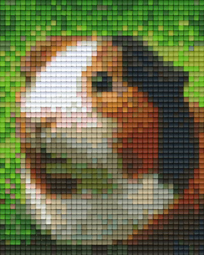 801325 Pixelhobby Klassik Set Meerschweinchen