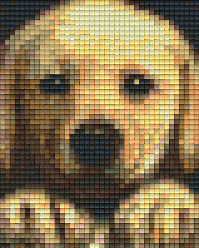 801451 Pixelhobby Klassik Set Golden Retriever Welpe