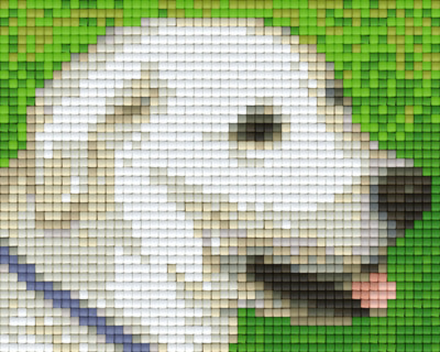 801303 Pixelhobby Klassik Set Hund 4