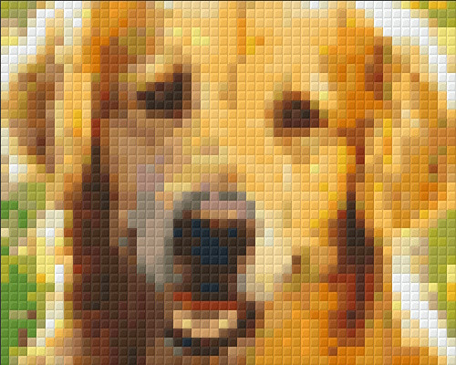 8011193 Pixelhobby Klassik Set Golden Retriever