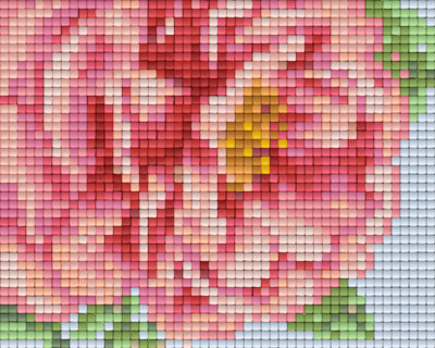 801336 Pixelhobby Klassik Set Rose rosa 2