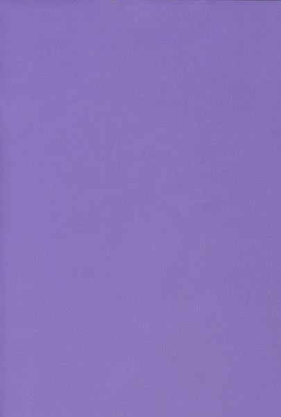 50494663 Ursus Transparentpapier violett A4