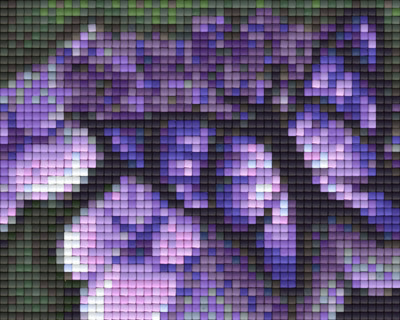 801004 Pixelhobby Klassik Set Schmetterling 3