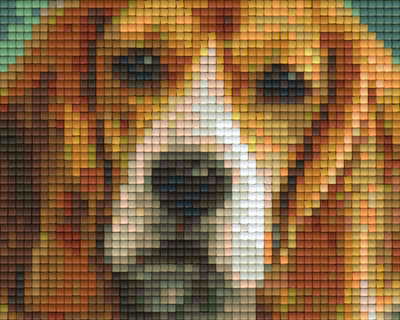 801301 Pixelhobby Klassik Set Hundeblick