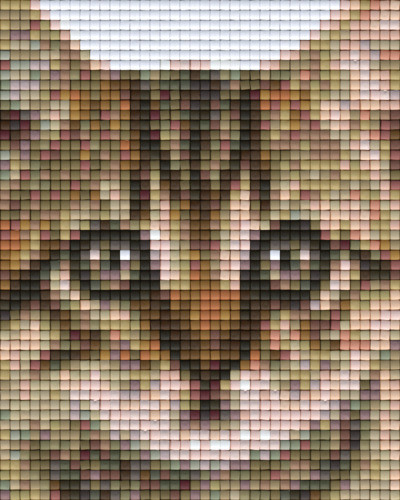 801327 Pixelhobby Klassik Set Katzenblick 4