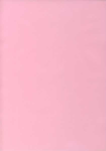 50494626 Ursus Transparentpapier rosa A4